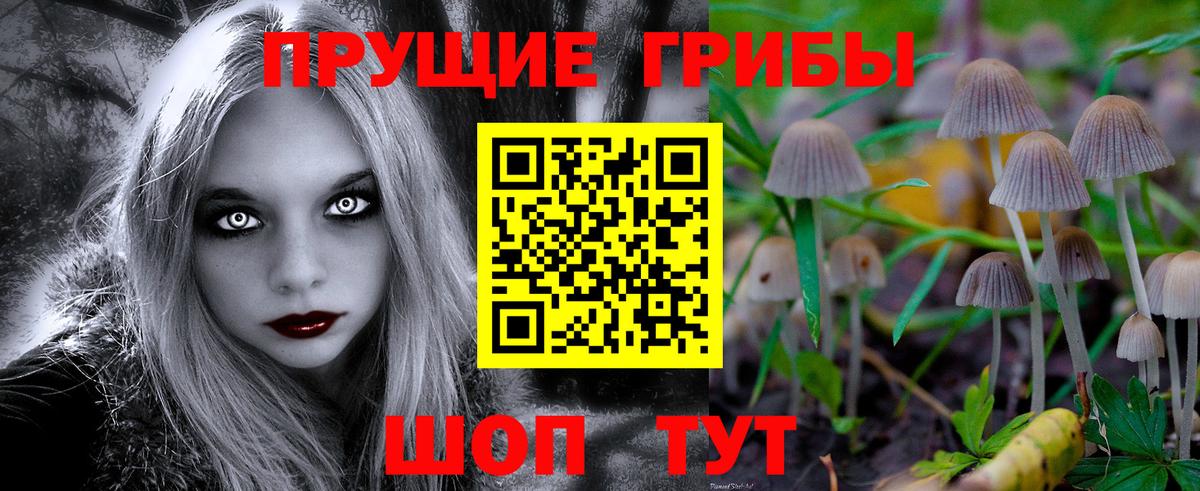 Галлюциногенные грибы MAGIC MUSHROOMS Ачхой-Мартан