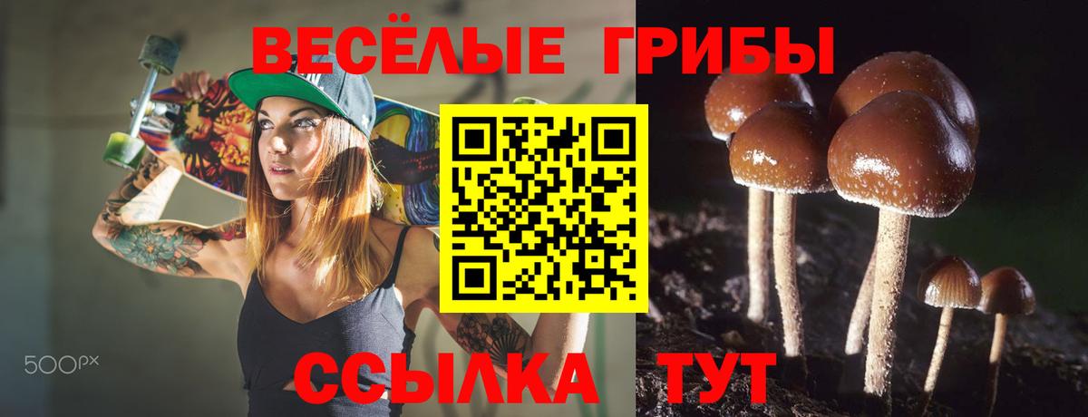хочу   Галлюциногенные грибы прущие грибы  Псилоцибиновые грибы мухоморы  Вход с VPN  Ачхой-Мартан 